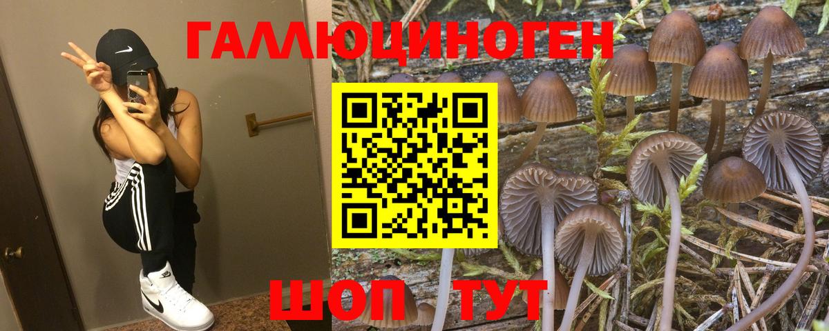 Лесосибирск  Псилоцибиновые грибы прущие грибы  купить закладку  Вход с VPN 